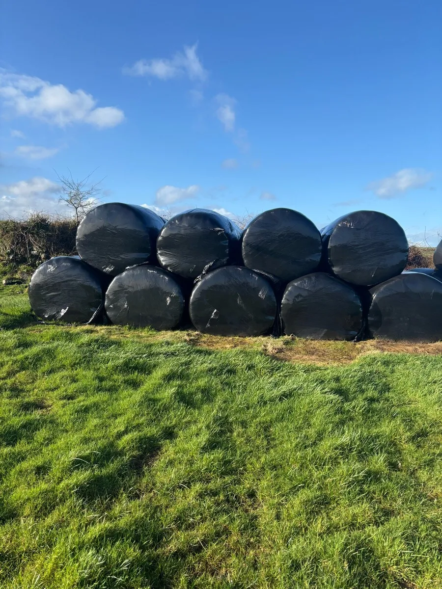 Silage/ Haylage Bales - Image 1