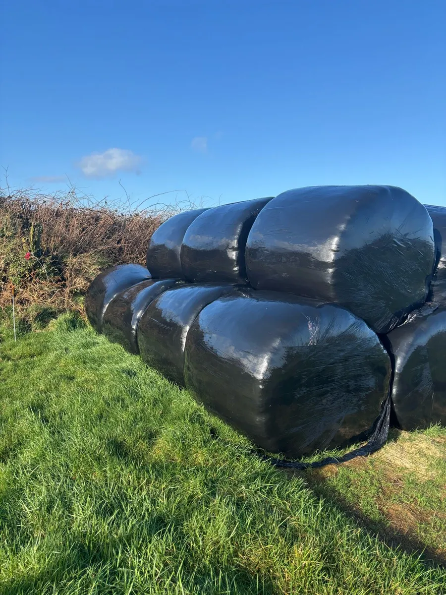 Silage/ Haylage Bales - Image 2