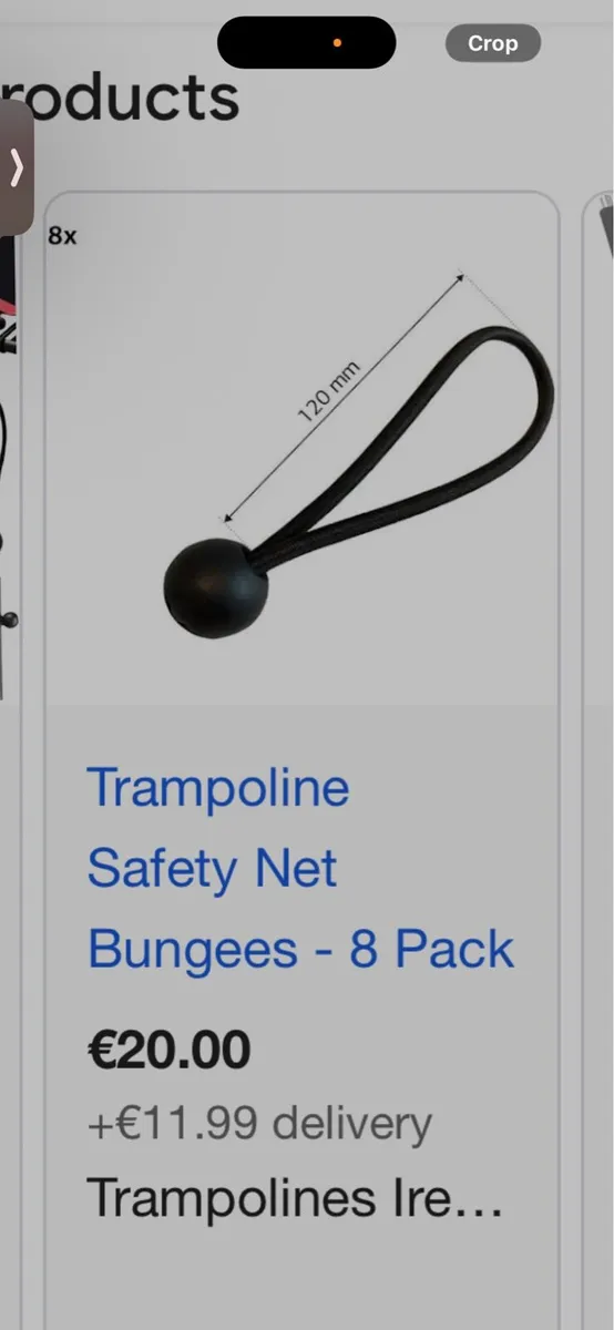 Trampoline - Image 4