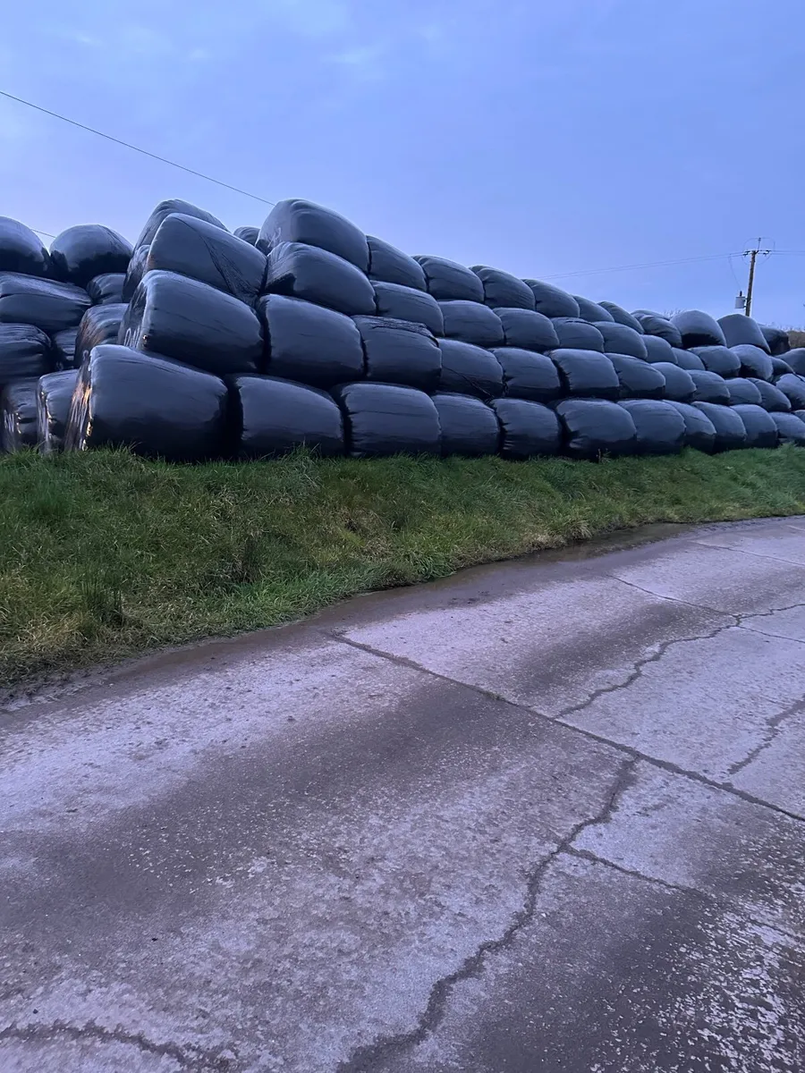 Silage Bales