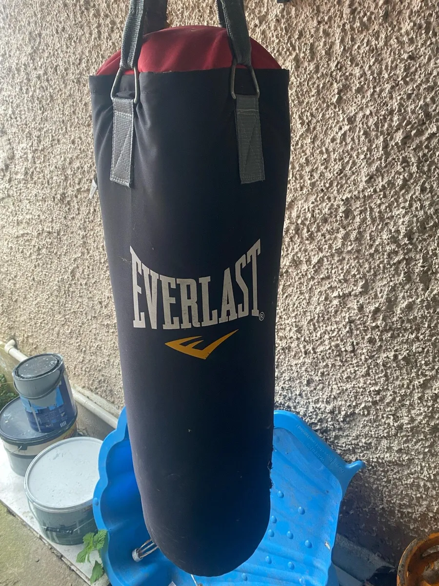 Boxing bag - Image 1
