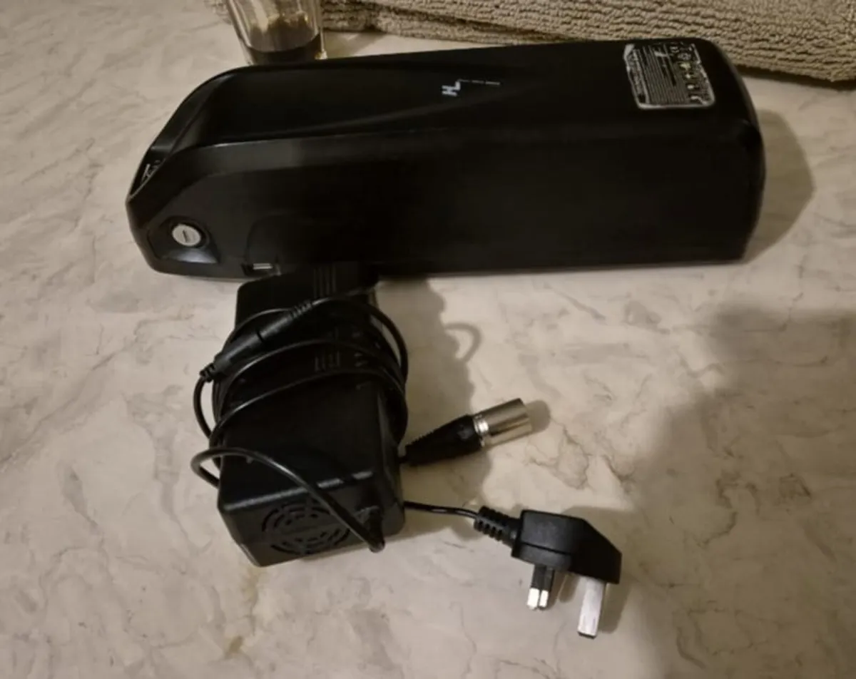 ELECTRIC BATTERY 48V 18AH HAILONG ELECTRIC BIKE BA - Image 1