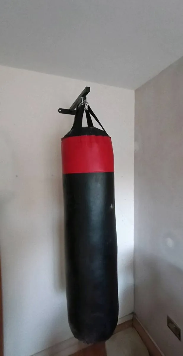 Punching (Boxing) Bag - Image 1