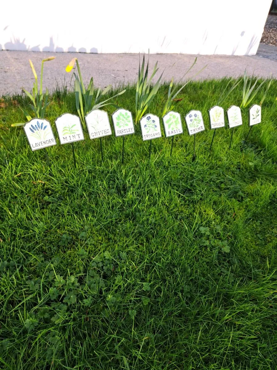 Herb cast iron  set - Image 1