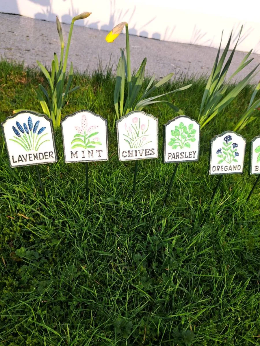 Herb cast iron  set - Image 2