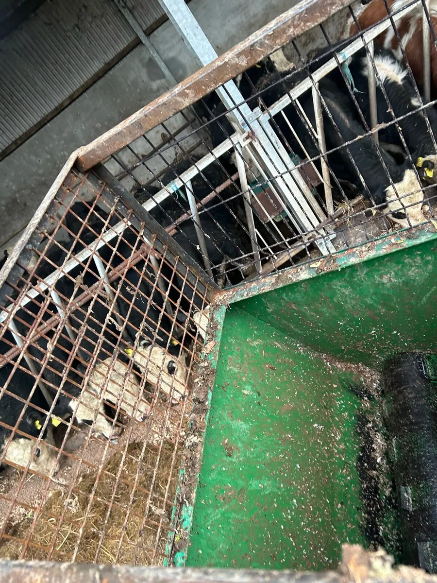 Beet chopper - Image 2