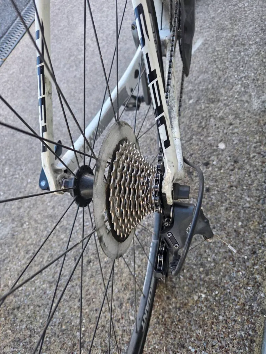 Giant Defy Composite Bike, Full Carbon - Image 2