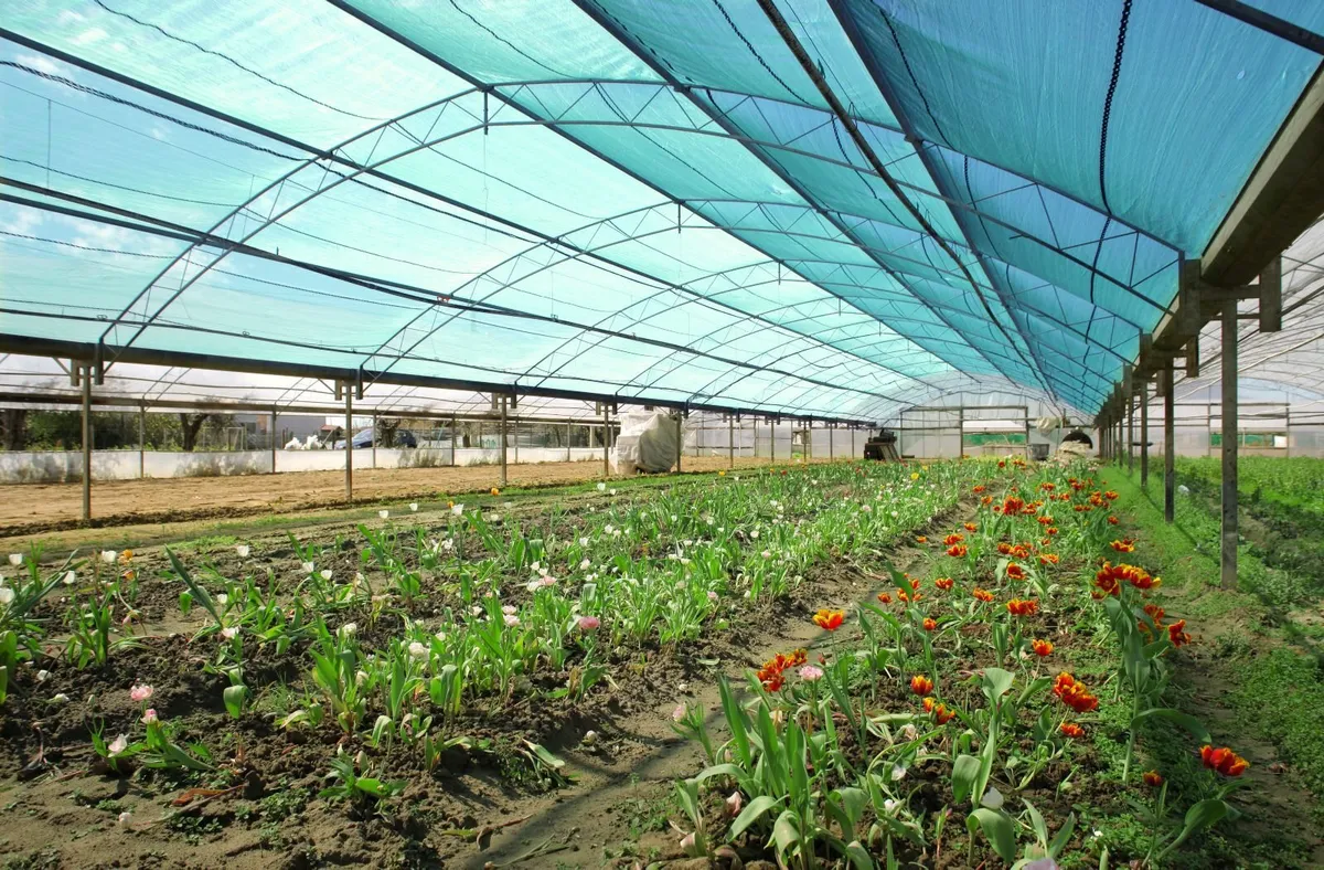 Weed Control fabric heavy - Image 4