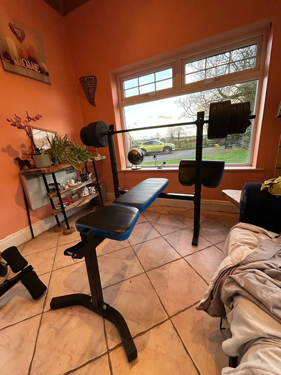 Bench Press and Dumbbells - Image 1