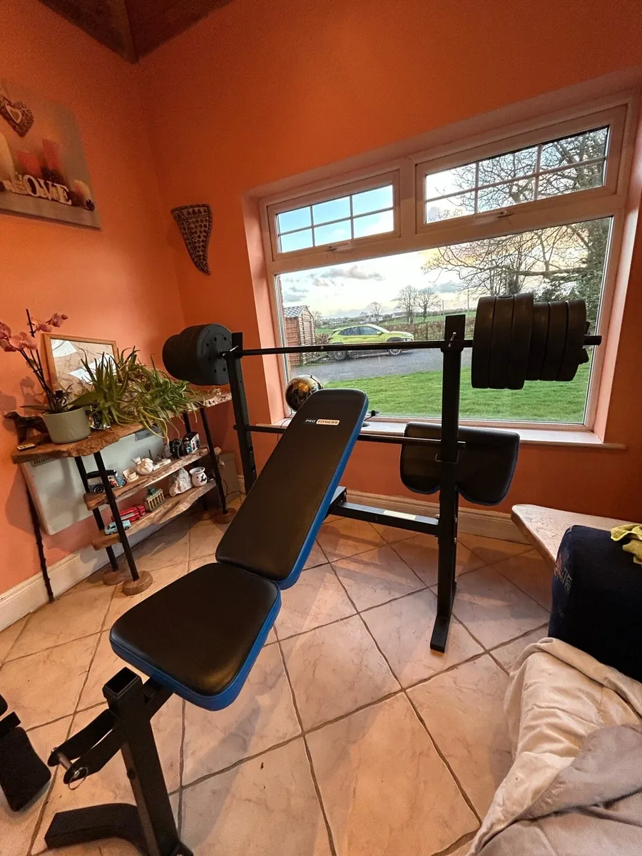 Bench Press and Dumbbells - Image 2