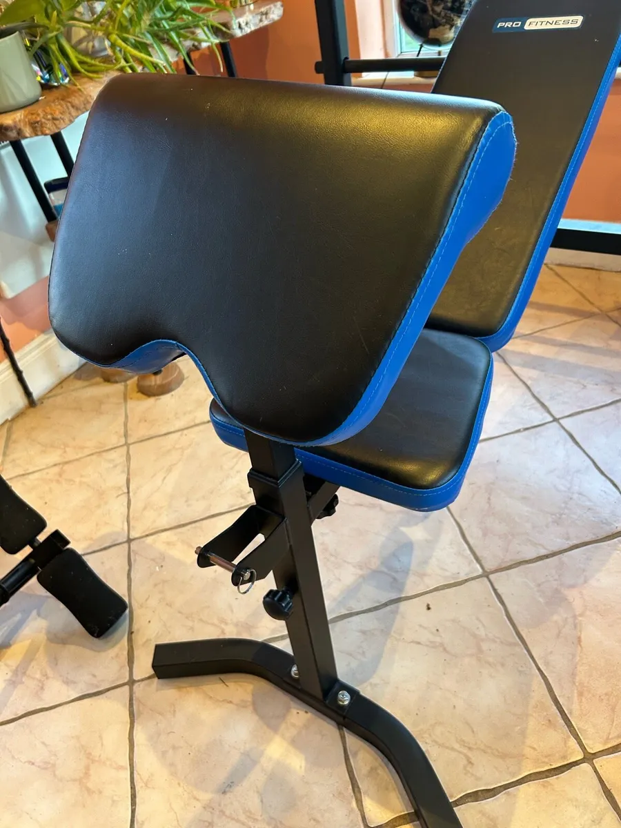 Bench Press and Dumbbells - Image 3