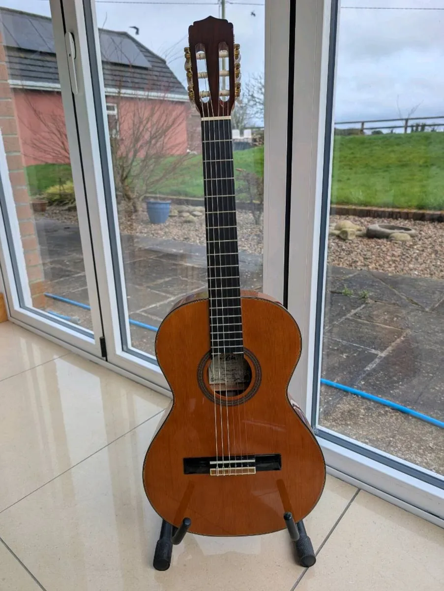 Aria A20-58 Acoustic Guitar - Image 1
