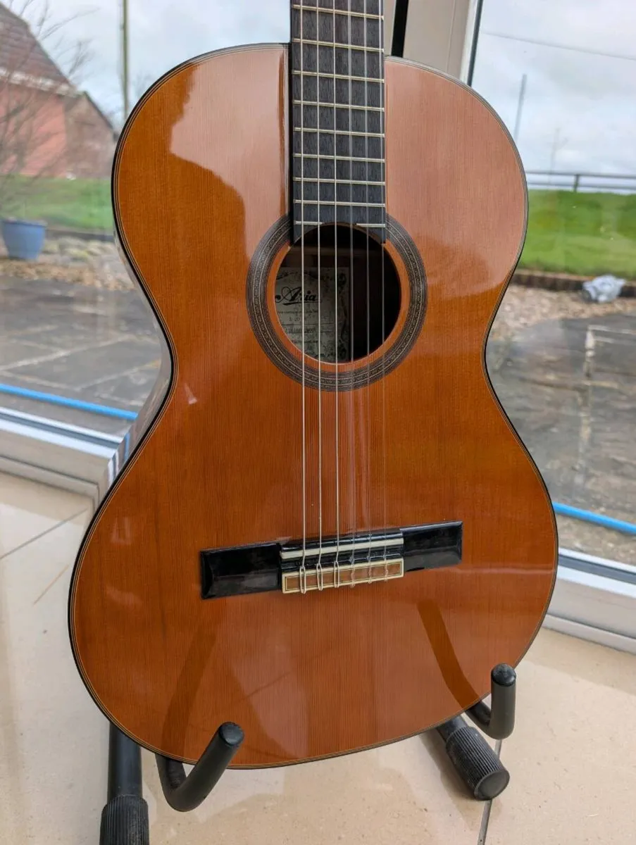 Aria A20-58 Acoustic Guitar - Image 2