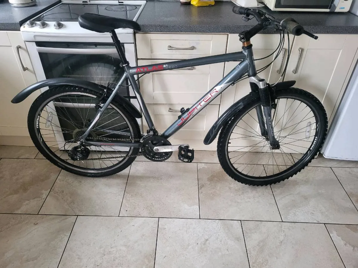 Mountain bike - Image 1