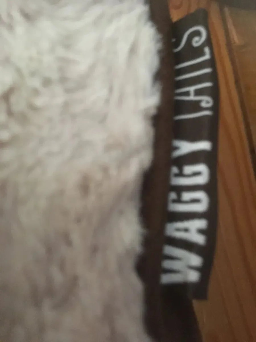 BRAND NEW Waggy Tails Sherpa Pet Bed, Medium - Image 3