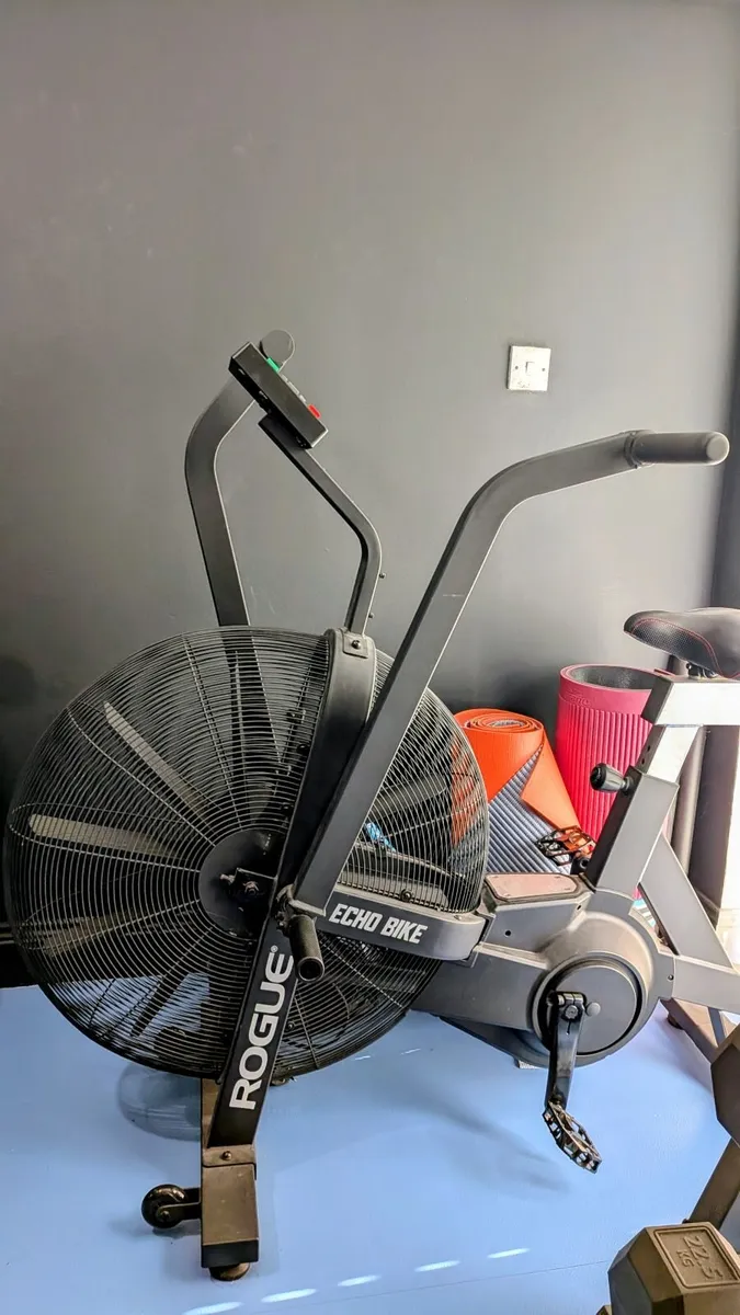 Rogue Echo Bike - Immaculate Condition - Home Gym - Image 1