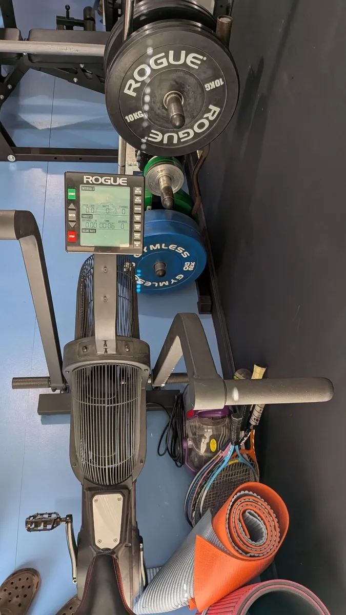 Rogue Echo Bike - Immaculate Condition - Home Gym - Image 2