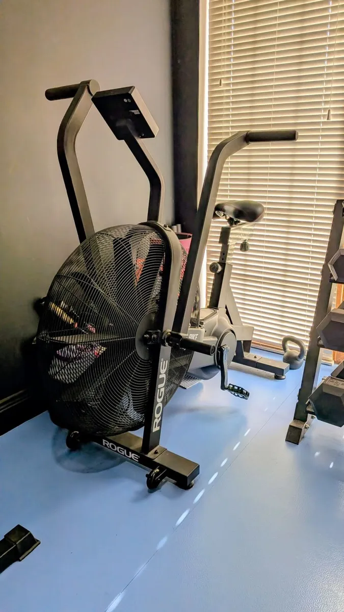 Rogue Echo Bike - Immaculate Condition - Home Gym - Image 3