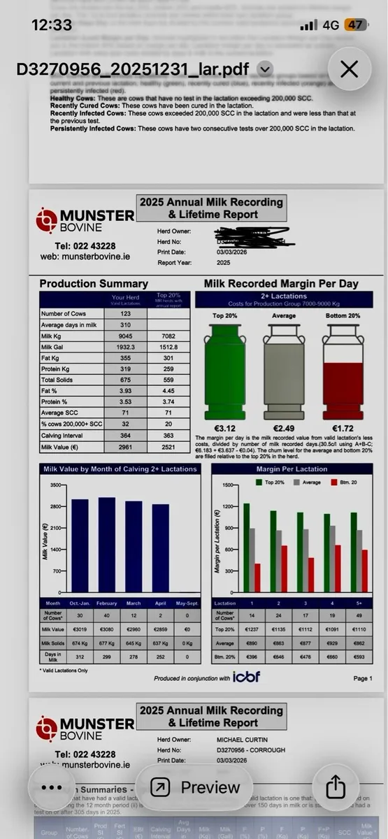 Pedigree Holstein calves - Image 2