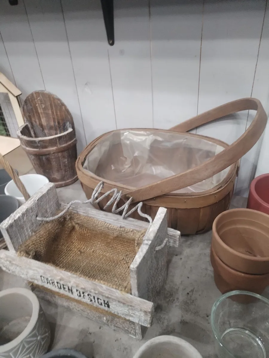 Large Plant Pot planters Bundle 35 Pieces. - Image 3