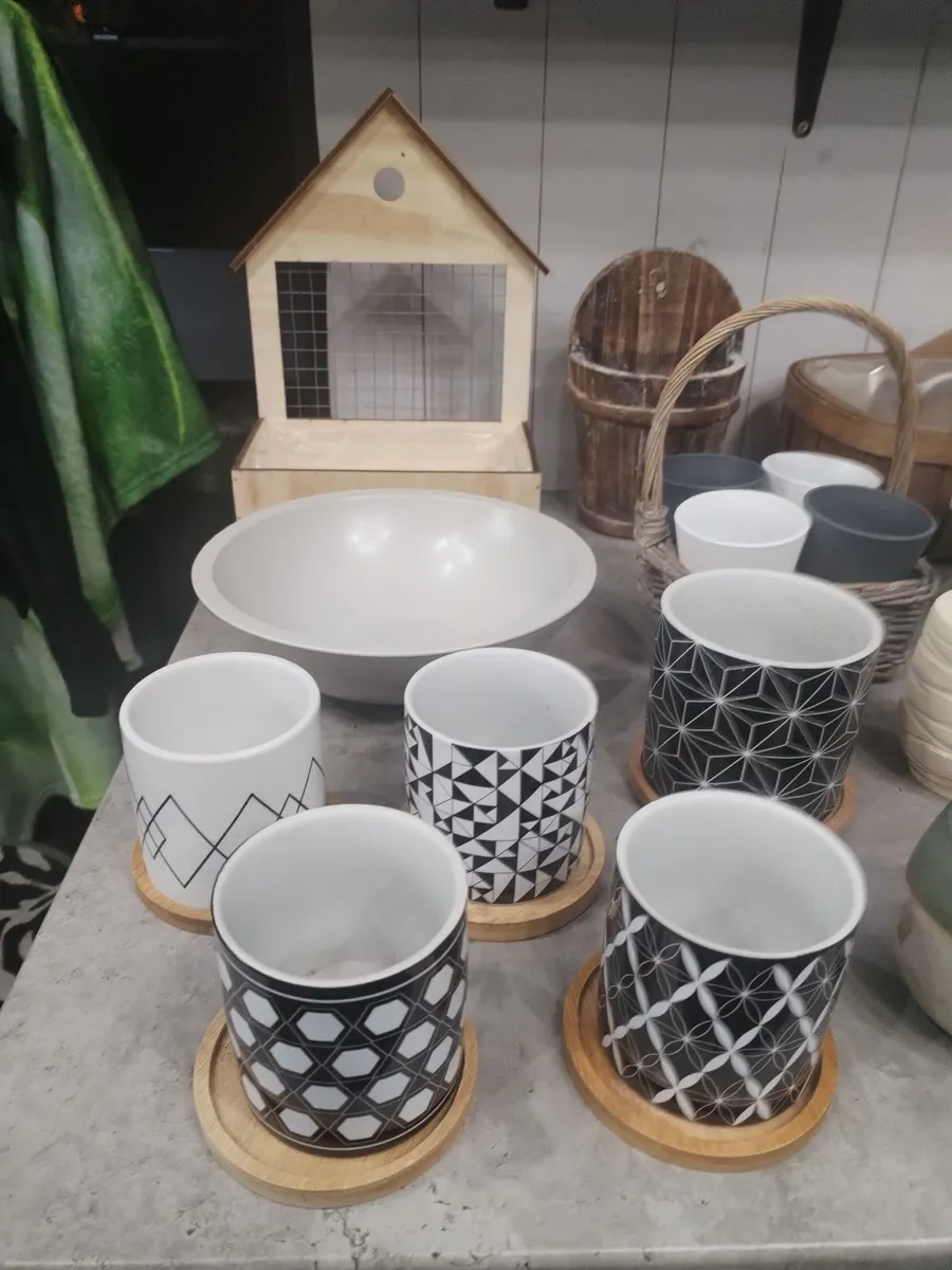 Large Plant Pot planters Bundle 35 Pieces. - Image 2