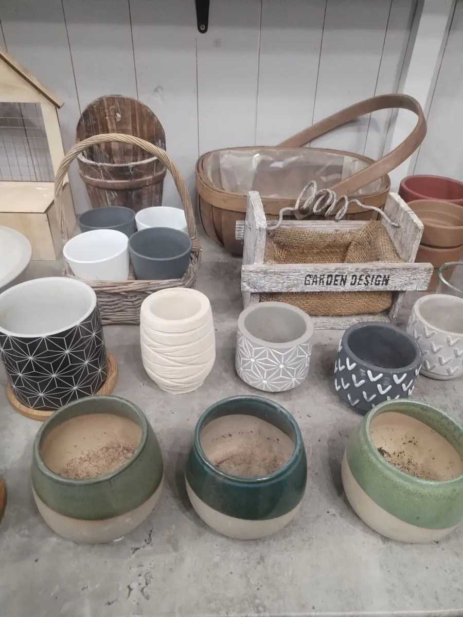 Large Plant Pot planters Bundle 35 Pieces. - Image 4