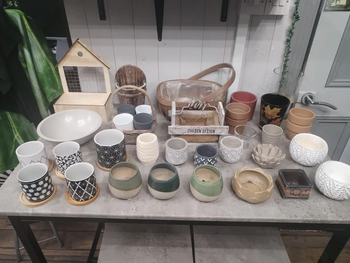 Large Plant Pot planters Bundle 35 Pieces. - Image 1