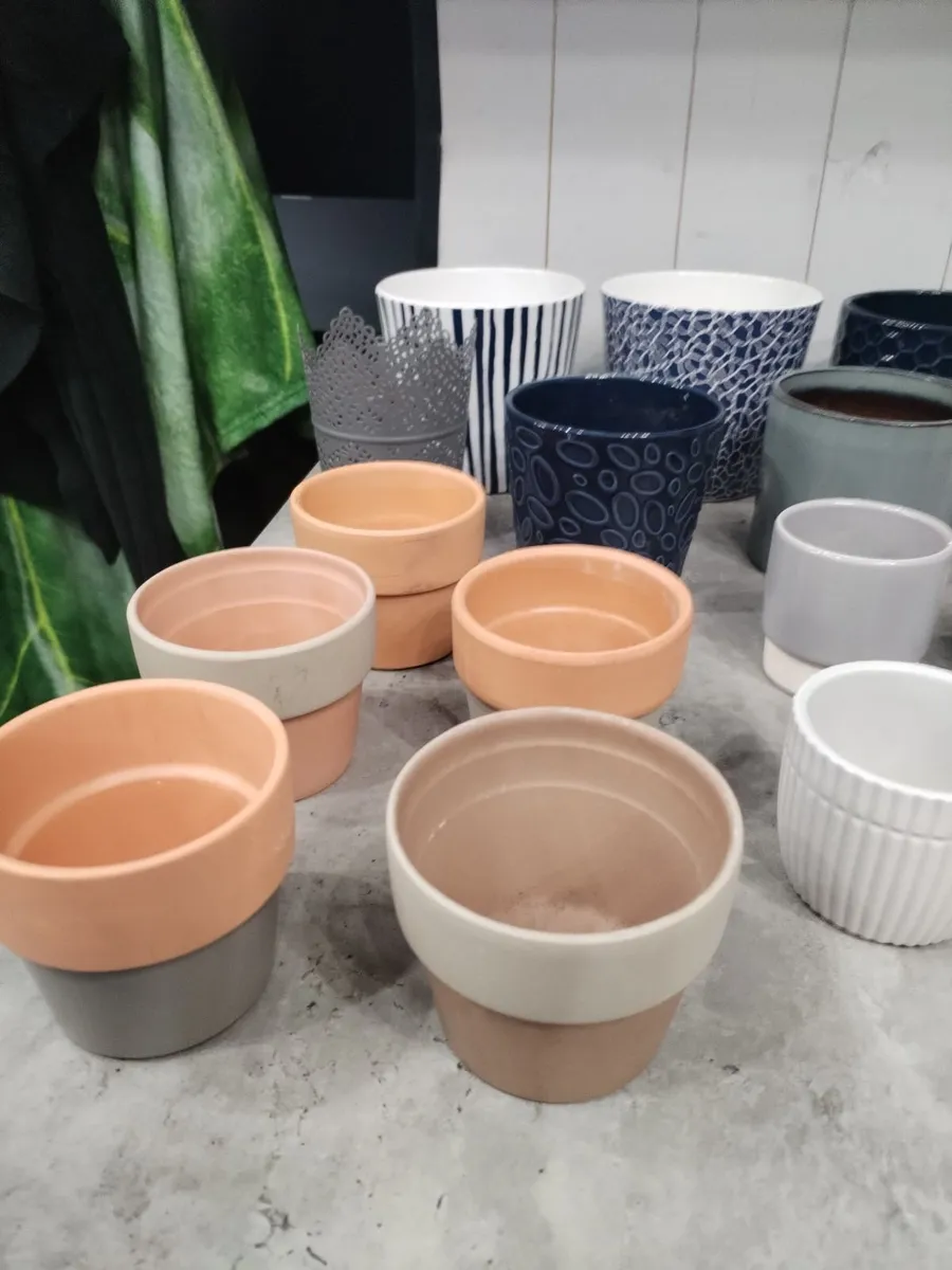 Large mixed bundle of 30 plant pots planters - Image 3