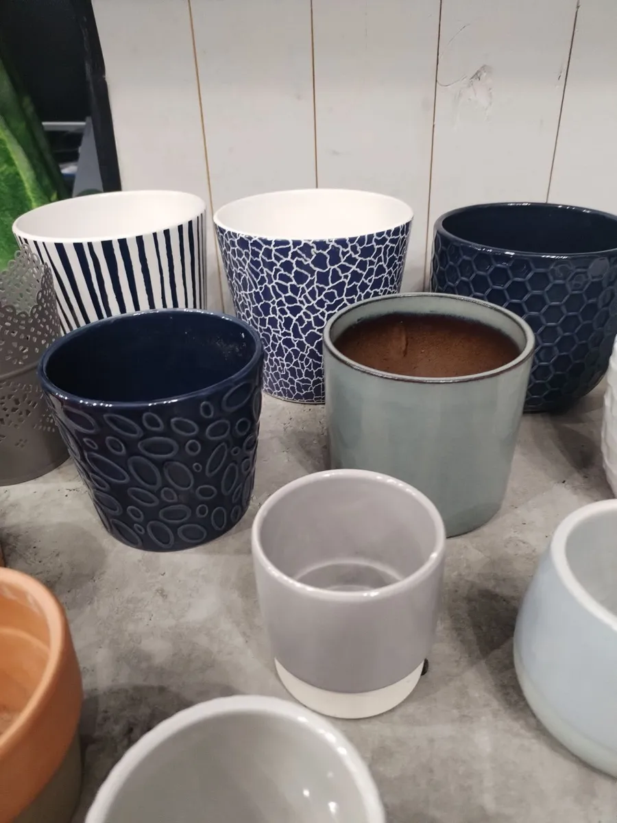 Large mixed bundle of 30 plant pots planters - Image 4