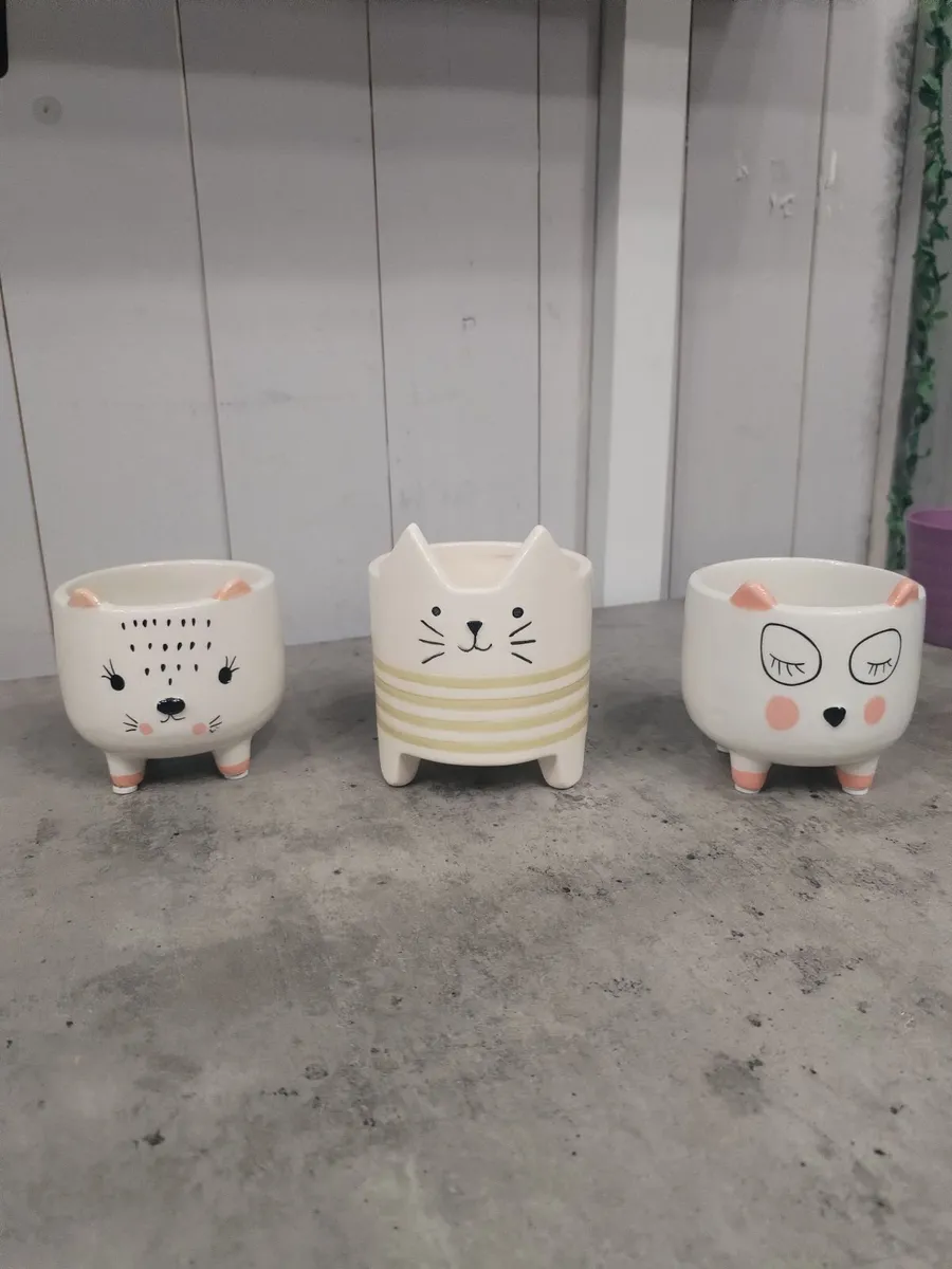 Mixed bundle of 10 plant pots and planters - Image 2