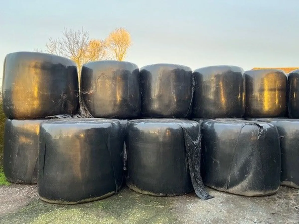 20  x  Silage Bales