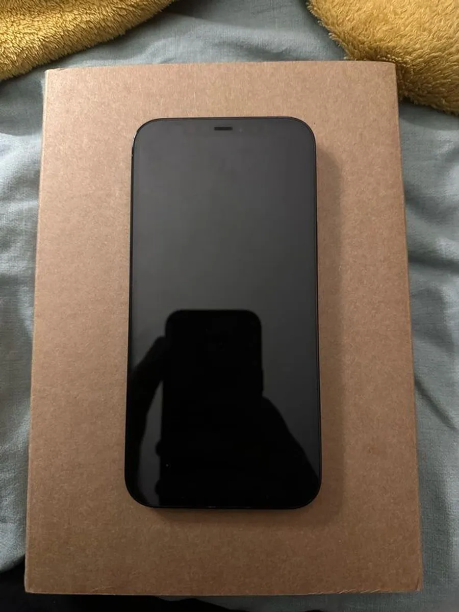 iPhone 12 Pro Max 256GB - Image 1