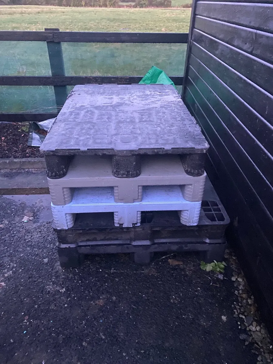 Heavy duty pallets - Image 1