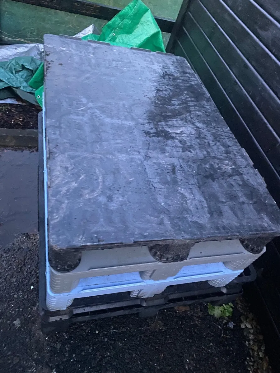 Heavy duty pallets - Image 2