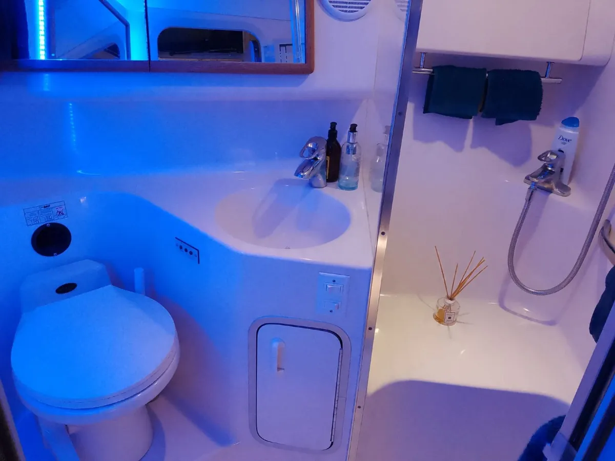 SeaRay 370 - Image 4