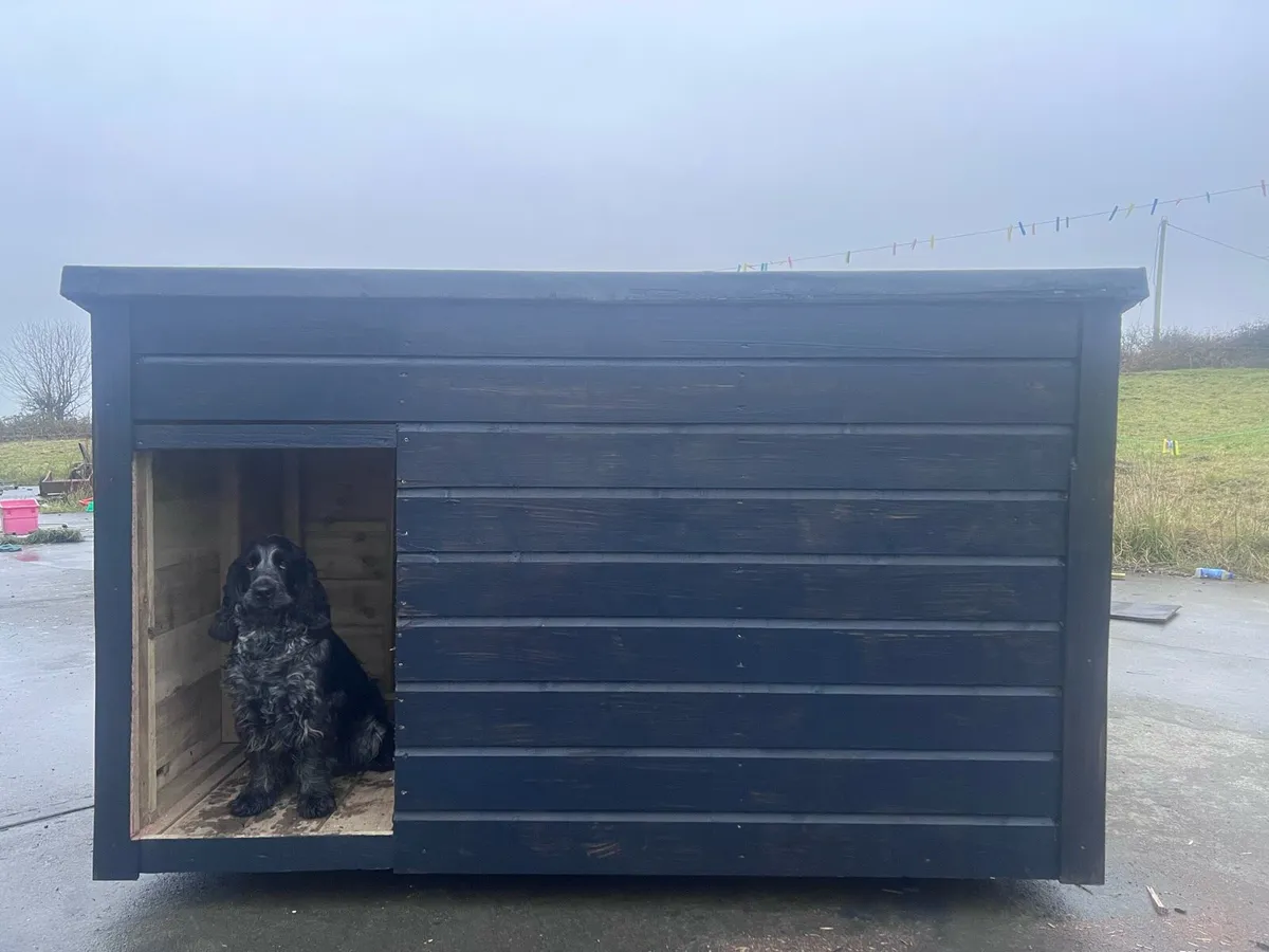 Dog House - Image 3