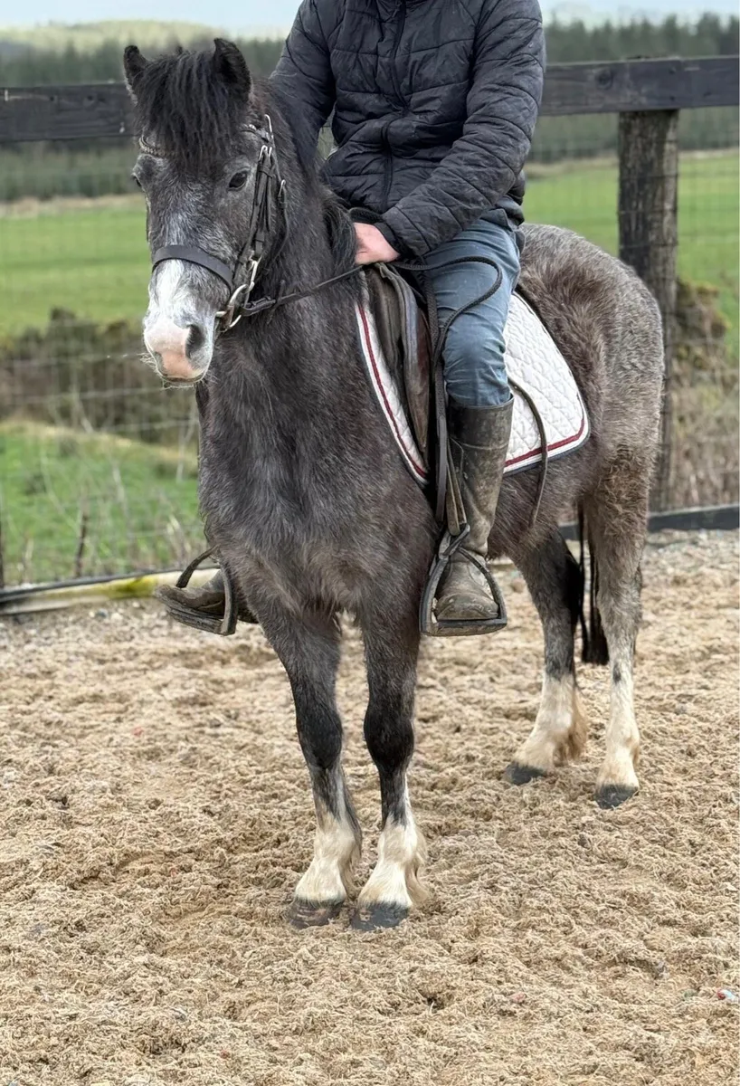 Jumping prospect ⭐️ - Image 2