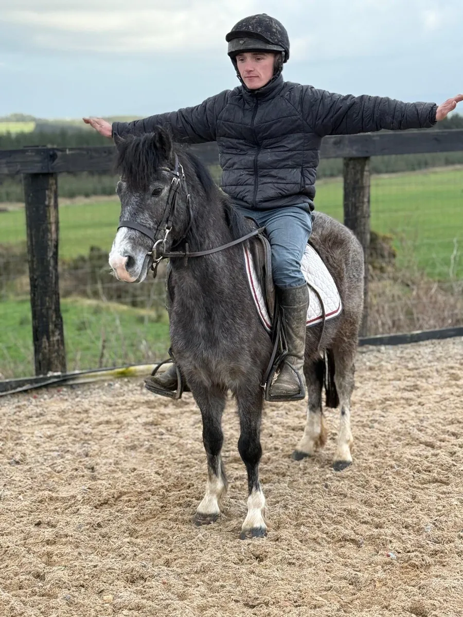 Jumping prospect ⭐️ - Image 1