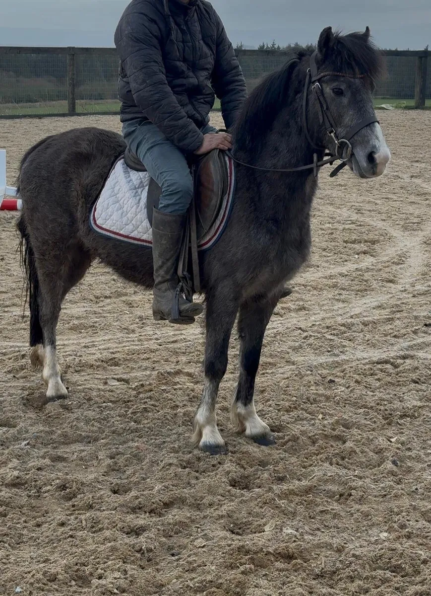 Jumping prospect ⭐️ - Image 3