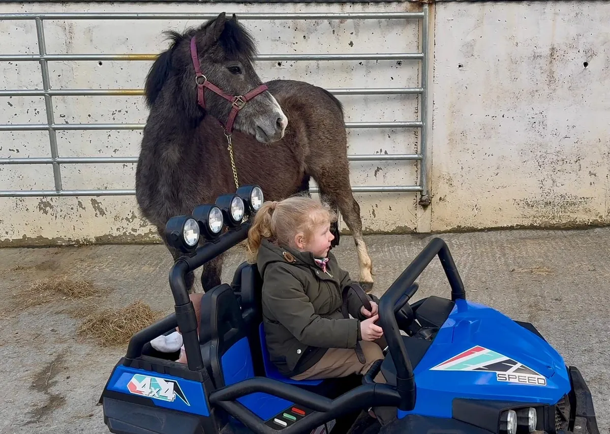 Jumping prospect ⭐️ - Image 4