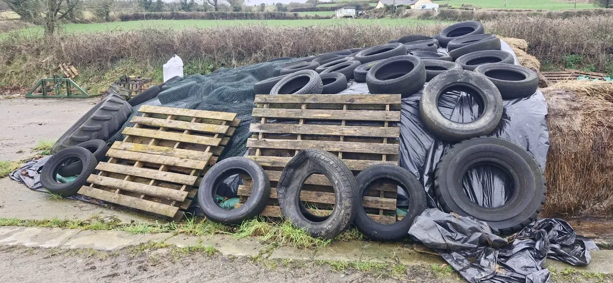 Pit silage - Image 4