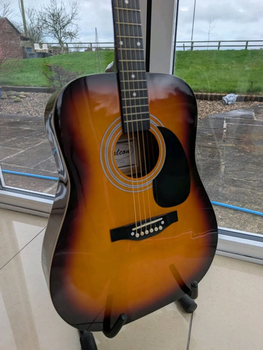 Falcon FG100SB Acoustic Guitar - Image 2