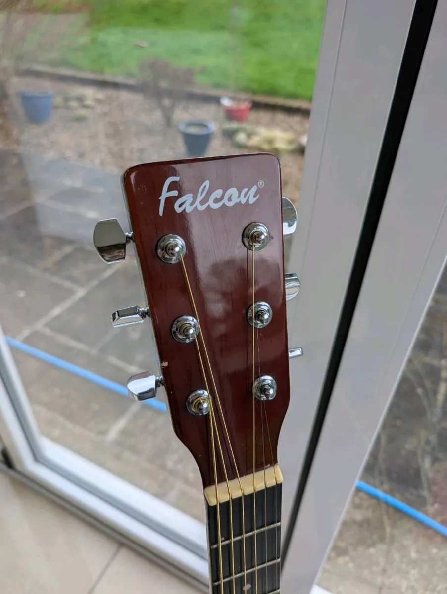 Falcon FG100SB Acoustic Guitar - Image 4
