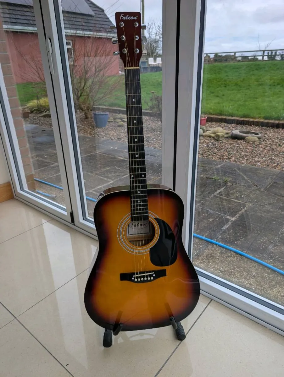 Falcon FG100SB Acoustic Guitar - Image 1