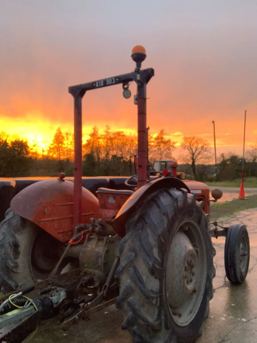 MF 35 For sale - Image 2