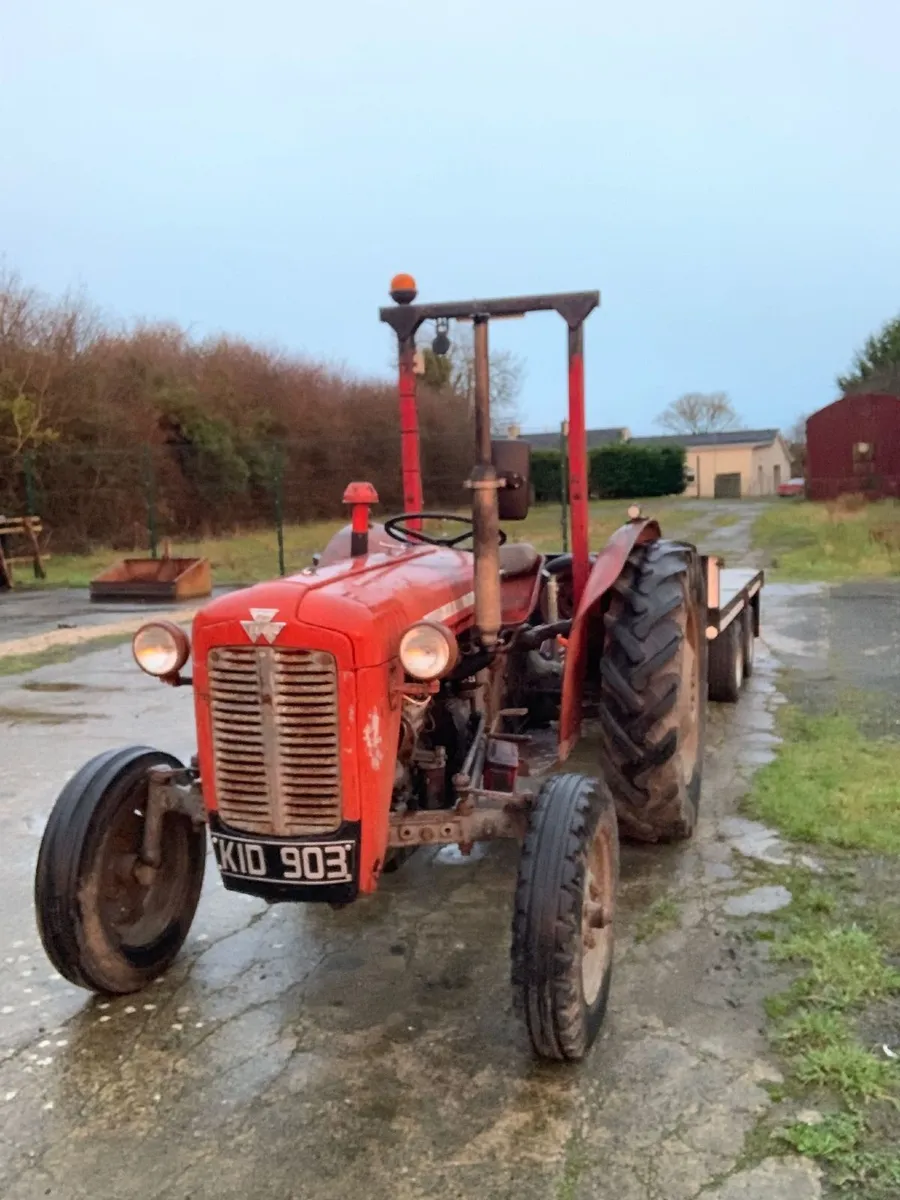 MF 35 For sale - Image 1