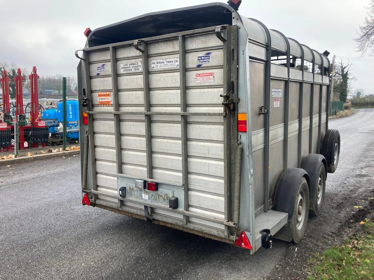 Nov 2017 Ifor Williams 12ft Cattle Trailer NO VAT - Image 2