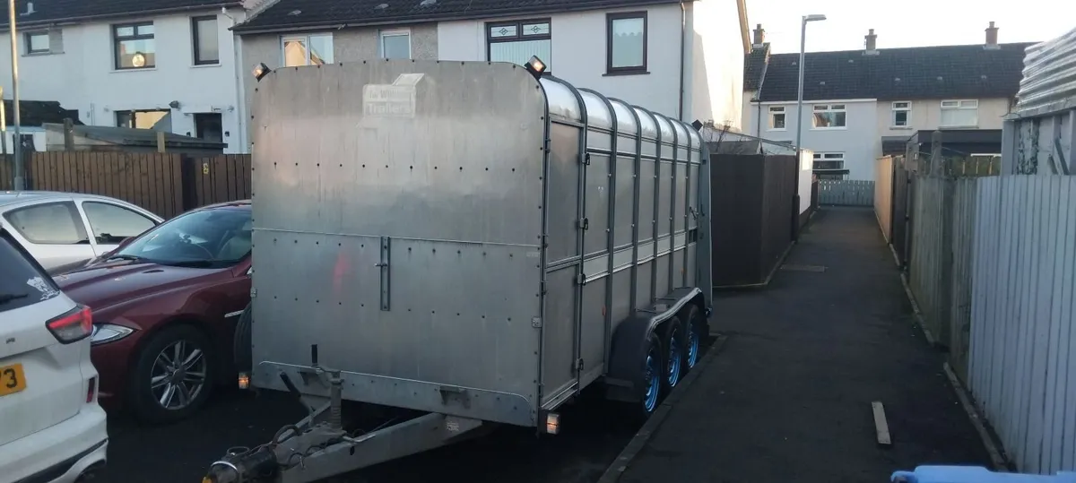 Iforwilliams TA510 14x6 Cattle Trailer NO VAT 💥 - Image 1