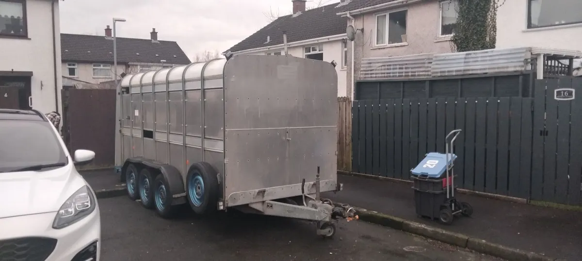 Iforwilliams TA510 14x6 Cattle Trailer NO VAT 💥 - Image 3