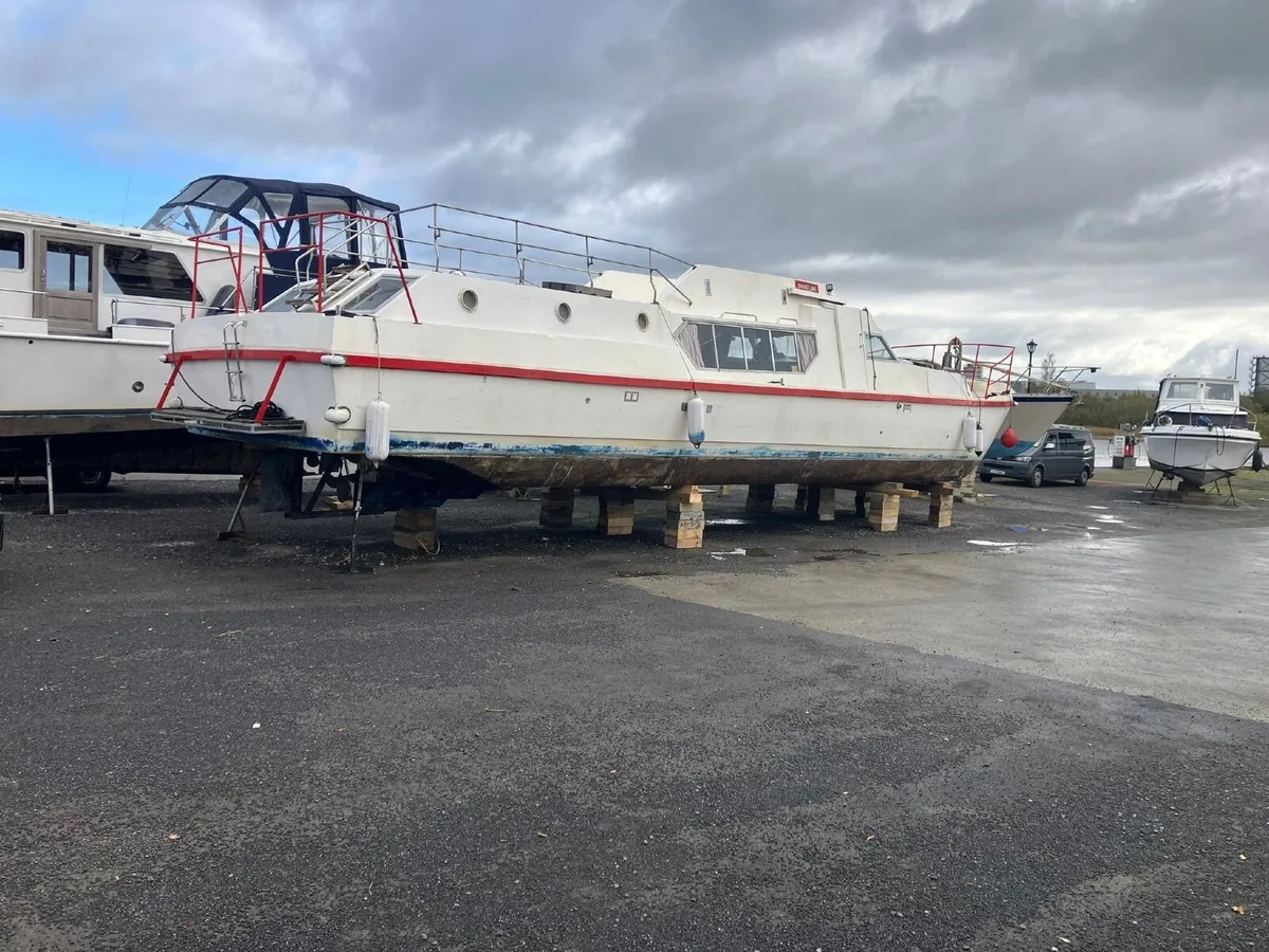 Shannon Cruiser - Image 3